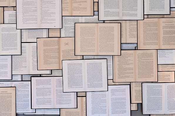 Open Monograph Press Libri Aperti